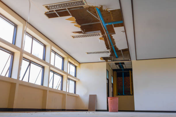 Best Sewage cleanup and water damage restoration  in East Islip, NY