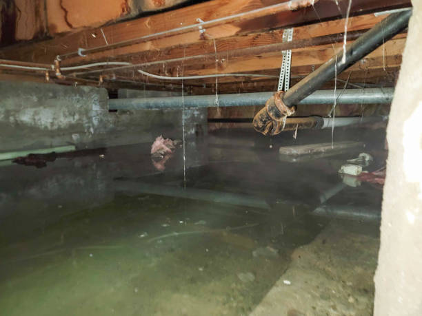Best Ceiling water damage repair  in East Islip, NY