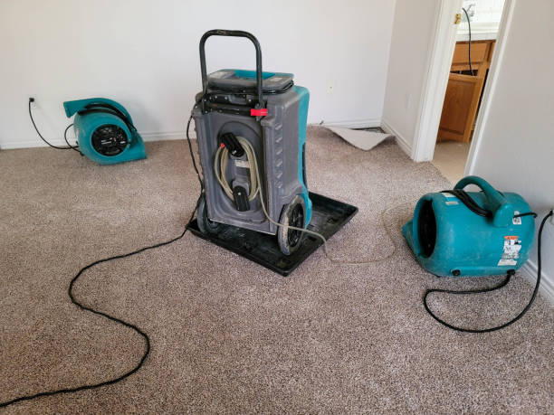 Best Water damage restoration near me  in East Islip, NY