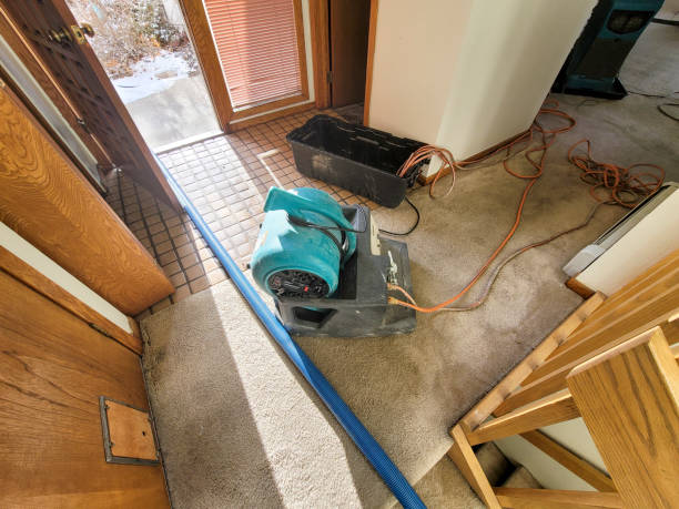 Best 24/7 water damage repair  in East Islip, NY