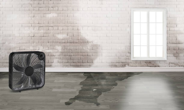 Best Basement water damage restoration  in East Islip, NY