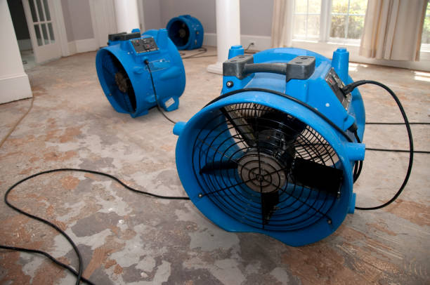 Best Carpet water damage restoration  in East Islip, NY