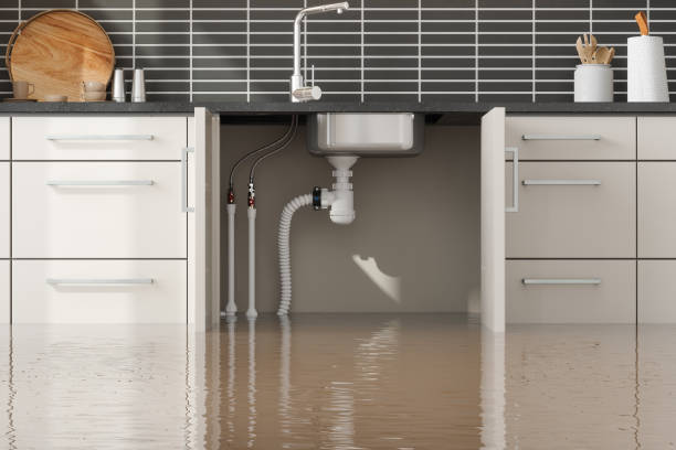 Best Water damage cleanup near me  in East Islip, NY
